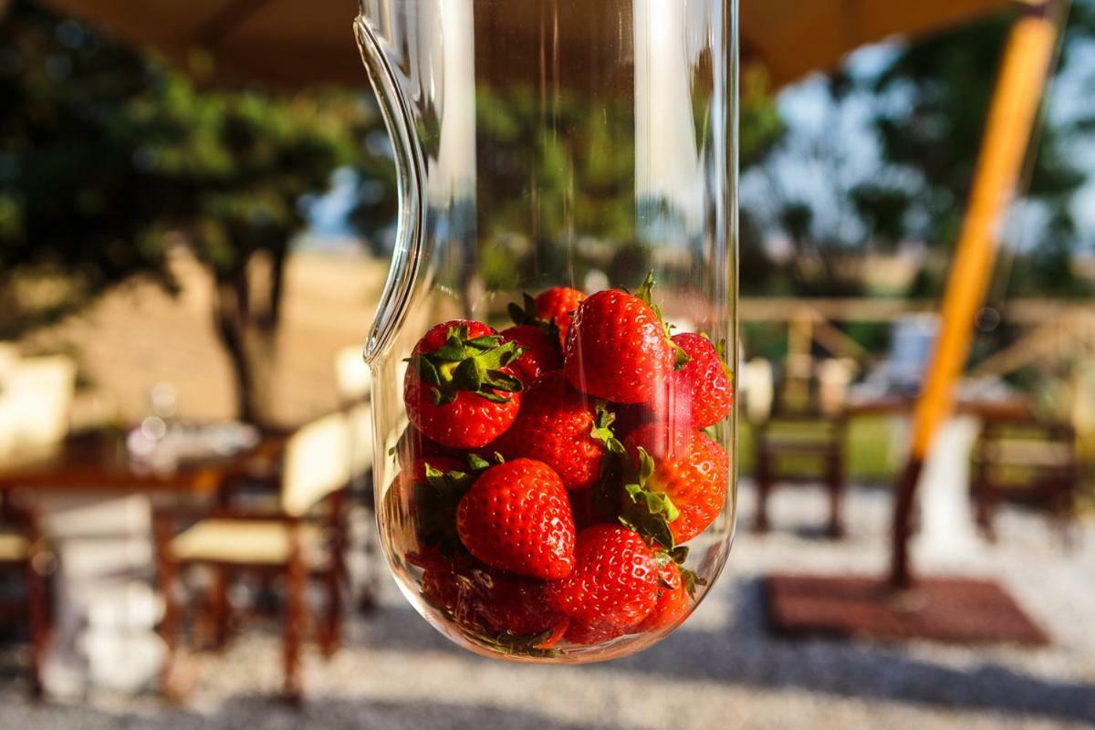 Il Montelletto Bed & Breakfast Santa Luce Eksteriør bilde